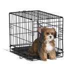   iCrate Single Door Dog Crate   Size XX Small   18 L x 12 W x 14 H