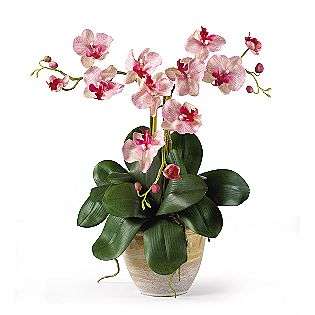 Triple Mini Phalenopsis Silk Orchid Flower Arrangement  Nearly Natural 