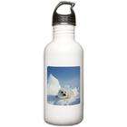 Artsmith Inc Stainless Water Bottle 1.0L Harp Seal