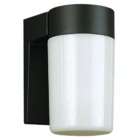 Trans Global Lighting PL 4810 BK Energy Efficient 1 Light Wall Outdoor 
