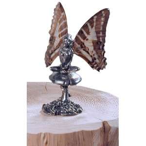  Butterfly Wing Fairy   Solus