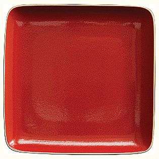 16 pc. Square Dinnerware Set   Paprika  Ty Pennington Style For the 