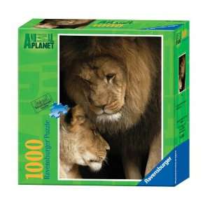   Ravensburger Animal Planet Lions   1000 Pieces Puzzle Toys & Games
