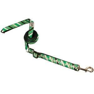   Reflective Dog Leash, 1 Inch by 5 to 6 Feet, Dublin Paws