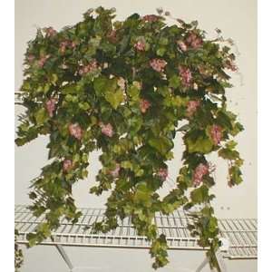  GIANT Grape Leaf Ledge Garden