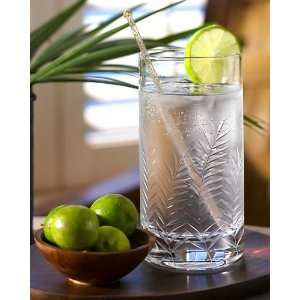  Tommy Bahama Etched Palm Highball Glass