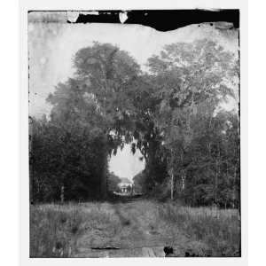  Civil War Reprint Seabrook, South Carolina. Natural arch 