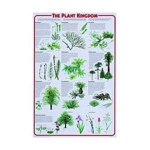  Plant Kingdom Poster Industrial & Scientific