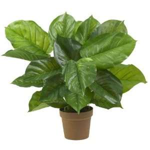   Large Leaf Philodendron Silk Plant (Real Touch)