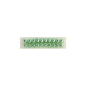  Glass Seed Beads   Ice Green 500/Pkg Arts, Crafts 