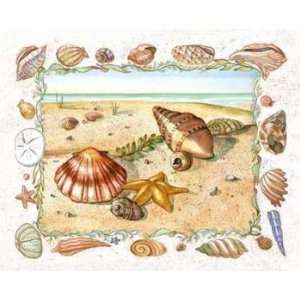  Starfish & Shells