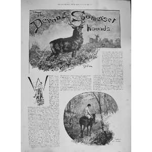  1894 DEVON SOMERSET HOUNDS HUNTING HORSE STAG SPORT