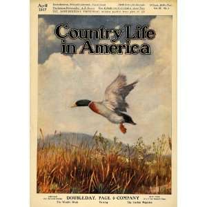  1907 Cover Country Life America Mallard Fly Over Plains 