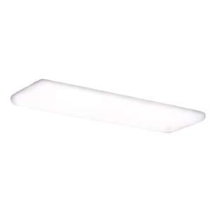 Thomas Lighting FCN232 EB Two Light Cloud Style Fluorescent Ceiling 