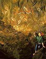 Birdmen ( Tangata manu ) paintings in the so called Cannibal Cave.