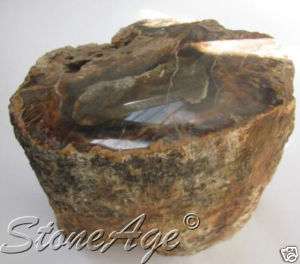 PETRIFIED FOSSIL WOOD Natural Stone Ancient TREE  