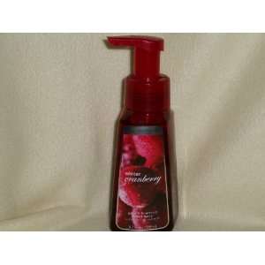    Bath & Body Works Winter Cranberry Gentle Foaming Hand Soap Beauty