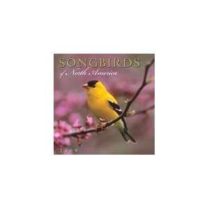  Songbirds of North America 2009 Mini Wall Calendar Office 