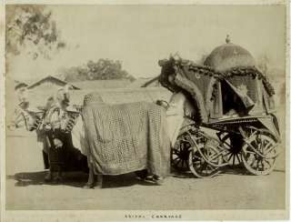 1860s PHOTO INDIA BRIDAL CARRIAGE SHEPHERD & ROBERTSON?  