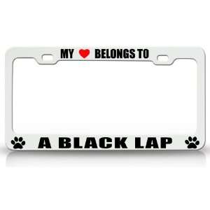 MY HEART BELONGS TO A BLACK LAP Dog Pet Steel Metal Auto License Plate 