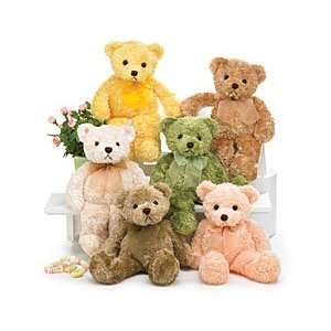  Soft Kohair Snuggle Bear Assortment of 6 [Toy] Toys 