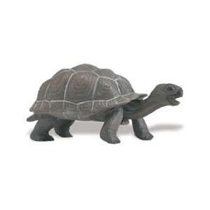  Safari 260829 Galapagos Baby Tortoise Animal Figure  Pack 