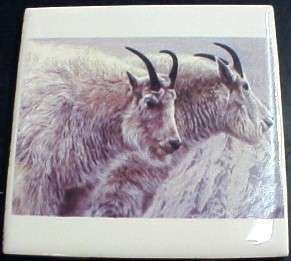 Ceramic Tile W/ Mountain Goats Mt Goat  