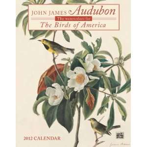  John James Audubon Birds 2012 Wall Calendar Office 