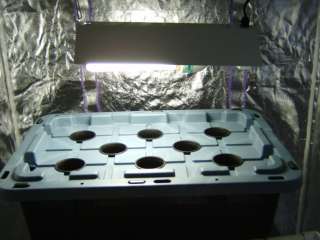 Complete Large Hydroponic system with grow light nutrients PH kit 