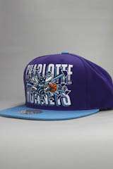   Charlotte Hornets Snapback (Backboard Breaker) (Purple/Aqua