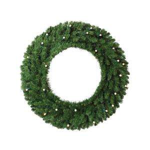 Home Accents Holiday 30 in. LED Pre Lit Battery Operated Wreath White 