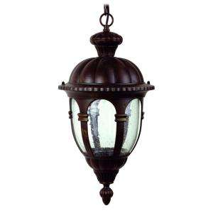   in. Incandescent Hanging Exterior Light, Black Frame with Seedy Glass