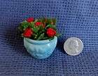   Miniature RED flowers in glazed ceramic turquoise floor pot ~ Geranium