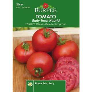 Burpee Tomato Early Treat Hybrid Seed 64658 