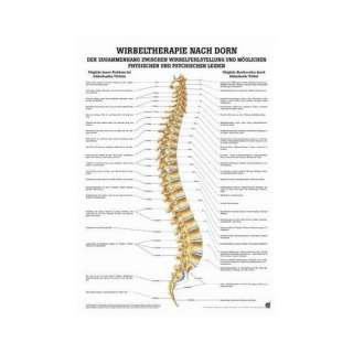   Poster   Wirbeltherapie nach Dorn, Tafel 50 x 70 cm, laminiert