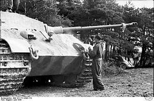 WWII Photo German Tiger II Camo Pzkpfw. VI WW2  