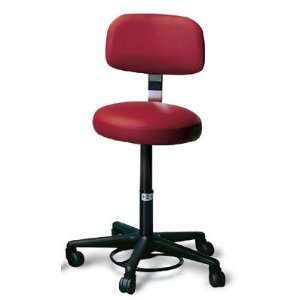   Hausmann Foot Controlled Air Lift Stool with Backrest