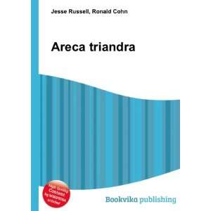  Areca triandra Ronald Cohn Jesse Russell Books