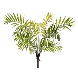  21 Areca Palm Bush x16 Green (Pack of 12)
