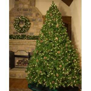   Full Pre Lit Winchester Fir Tree, 300 Clear Lamps
