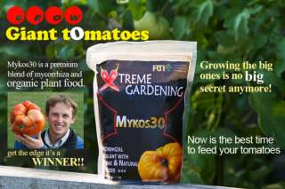 Grow Giant Tomatoes Mykos30 is a premium blend Fertiliz  