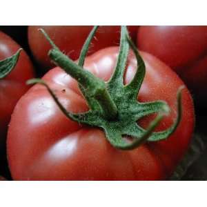 Tomato Beefsteak 200 Seeds/800 Mg