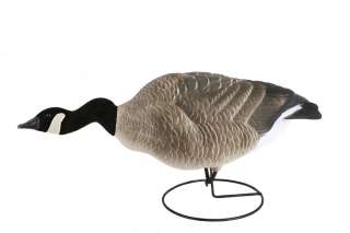 Dakota Decoy Company Premium Canada Goose Gunning Decoys