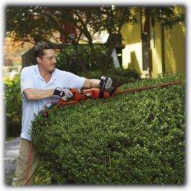 Black & Decker HH2455 24 Inch HedgeHog Hedge Trimmer With Rotating 