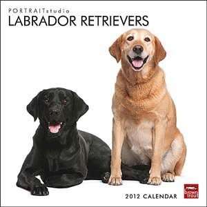  2012 Black Labs Calendar   Portrait Studio Office 