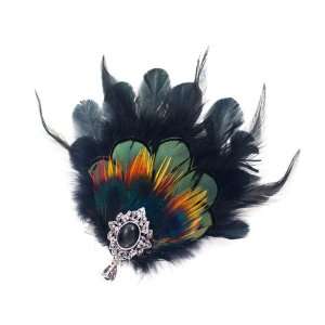    Colorful 3 in 1 Feather Hair Clip Brooch and Necklace Beauty