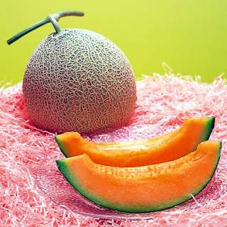 RARE Yubari King Melon 10 Seeds  $12,000 per Fruit  