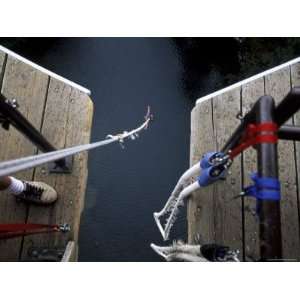  Bungee Jumping, Vancouver Island, British Columbia, Canada 