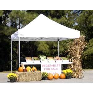   Canopy Goliath Tent   Commercial Grade 10 x 10 Instant Canopy Home