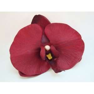  Burgundy Phalaenopsis Orchid Hair Flower Clip Beauty